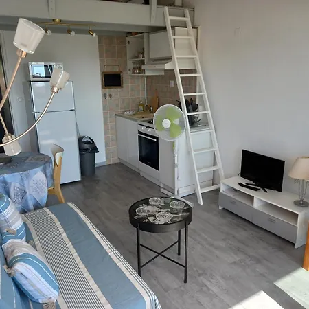 La Baleine Rose, T2 Vue Dégagée Sur Le Centre Port Appartement