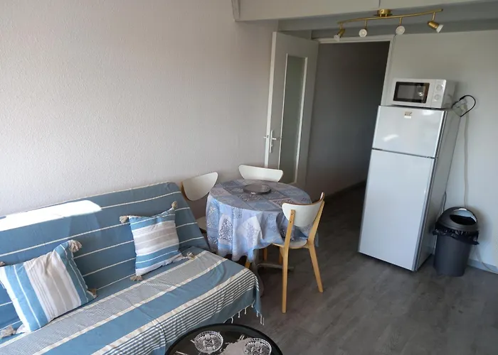 Appartement La Baleine Rose, T2 Vue Dégagée Sur Le Centre Port *