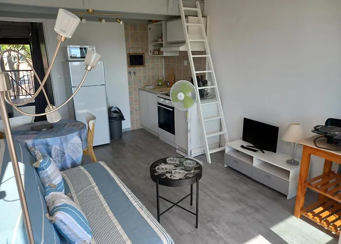 La Baleine Rose, T2 Vue Dégagée Sur Le Centre Port Appartement