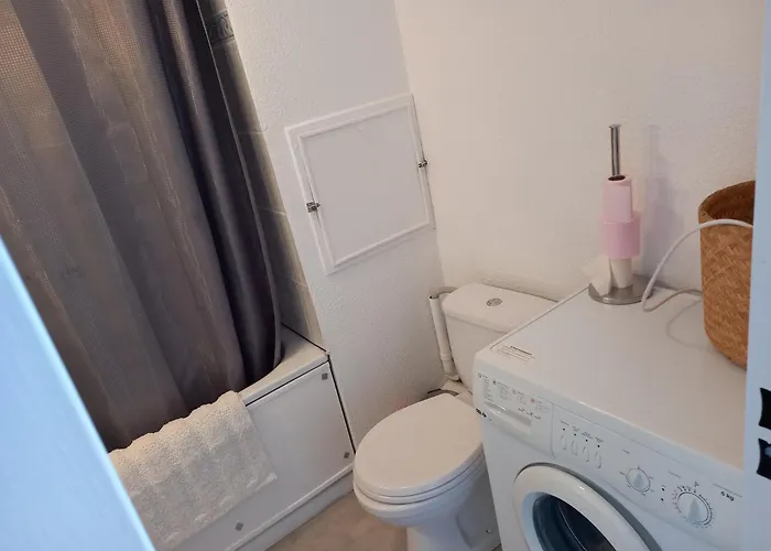 La Baleine Rose, T2 Vue Dégagée Sur Le Centre Port Agde