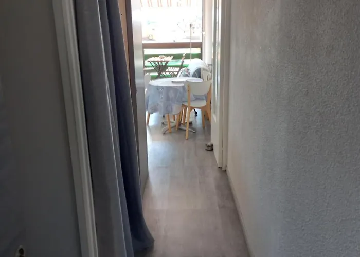 La Baleine Rose, T2 Vue Degagee Sur Le Centre Port